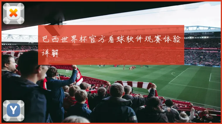 巴西世界杯官方看球软件观赛体验详解