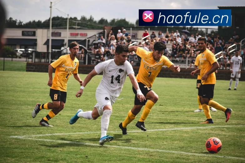 辅助工具 辅助工具